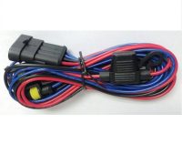Main Wiring Harness